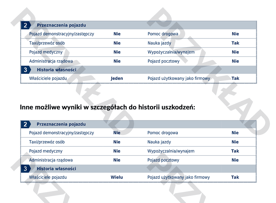 Raport Historii Pojazdu autoDNA dla pojazdów z Francji autoDNA