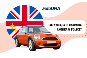 Jak wygląda rejestracja anglika w Polsce