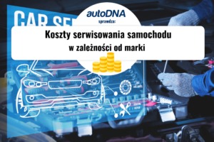 koszty serwisowania