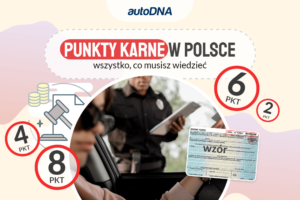 Punkty karne w Polsce