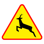 A-18B Zwierzęta dzikie