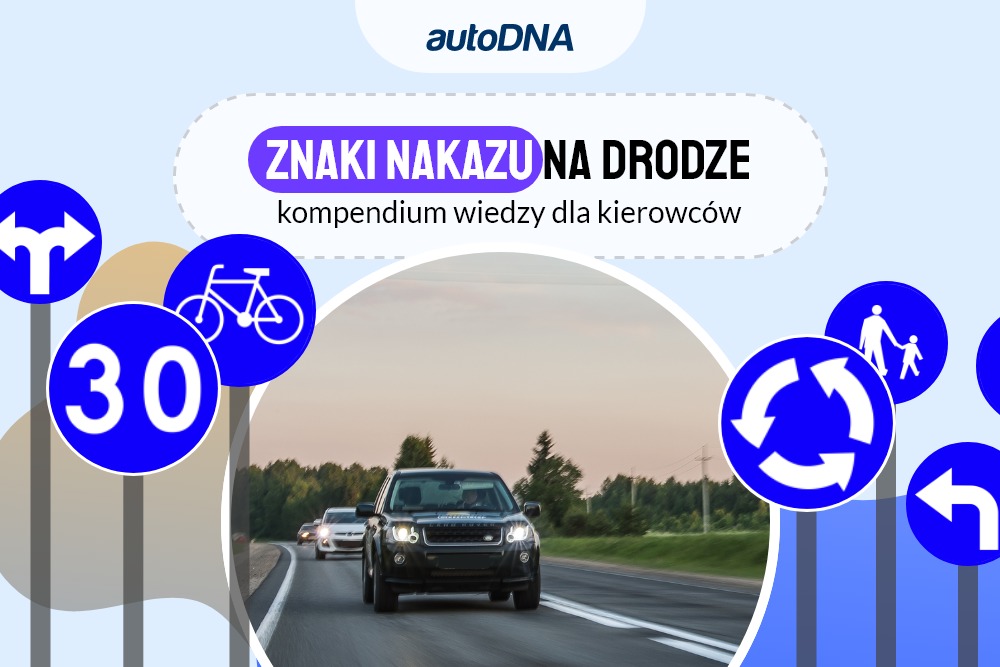 Znaki nakazu na drodze – kompendium wiedzy dla kierowców
