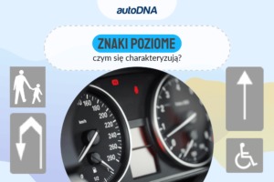 Znaki poziome – czym się charakteryzują