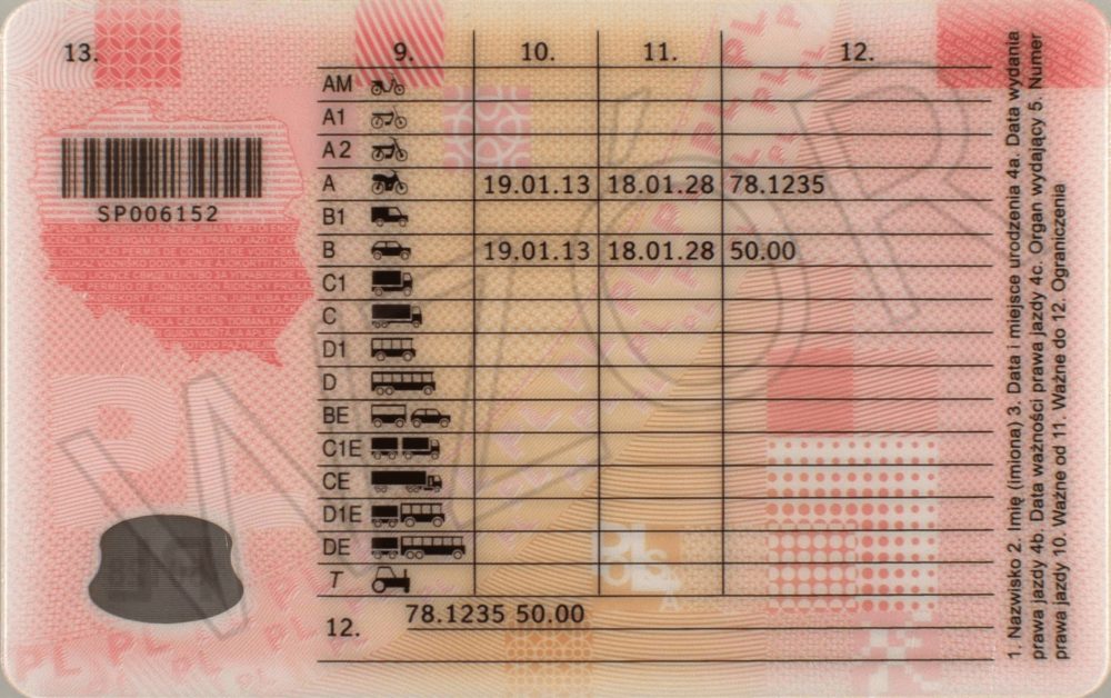 Na rewersie dokumentu widnieje kategoria prawa jazdy -jaką posiada kierowca. Źródło gov.pl