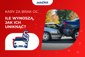 Kary za brak OC. Ile wynoszą jak ich uniknąć
