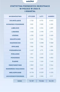 Statystyka przerejestrowań w Polsce w 2024 r I kwartał – 1
